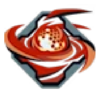 Special Purpose Magnets