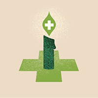 Item icon