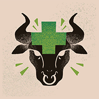Item icon