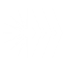 Subatomic Distortion