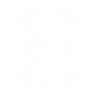 Blast Distributor