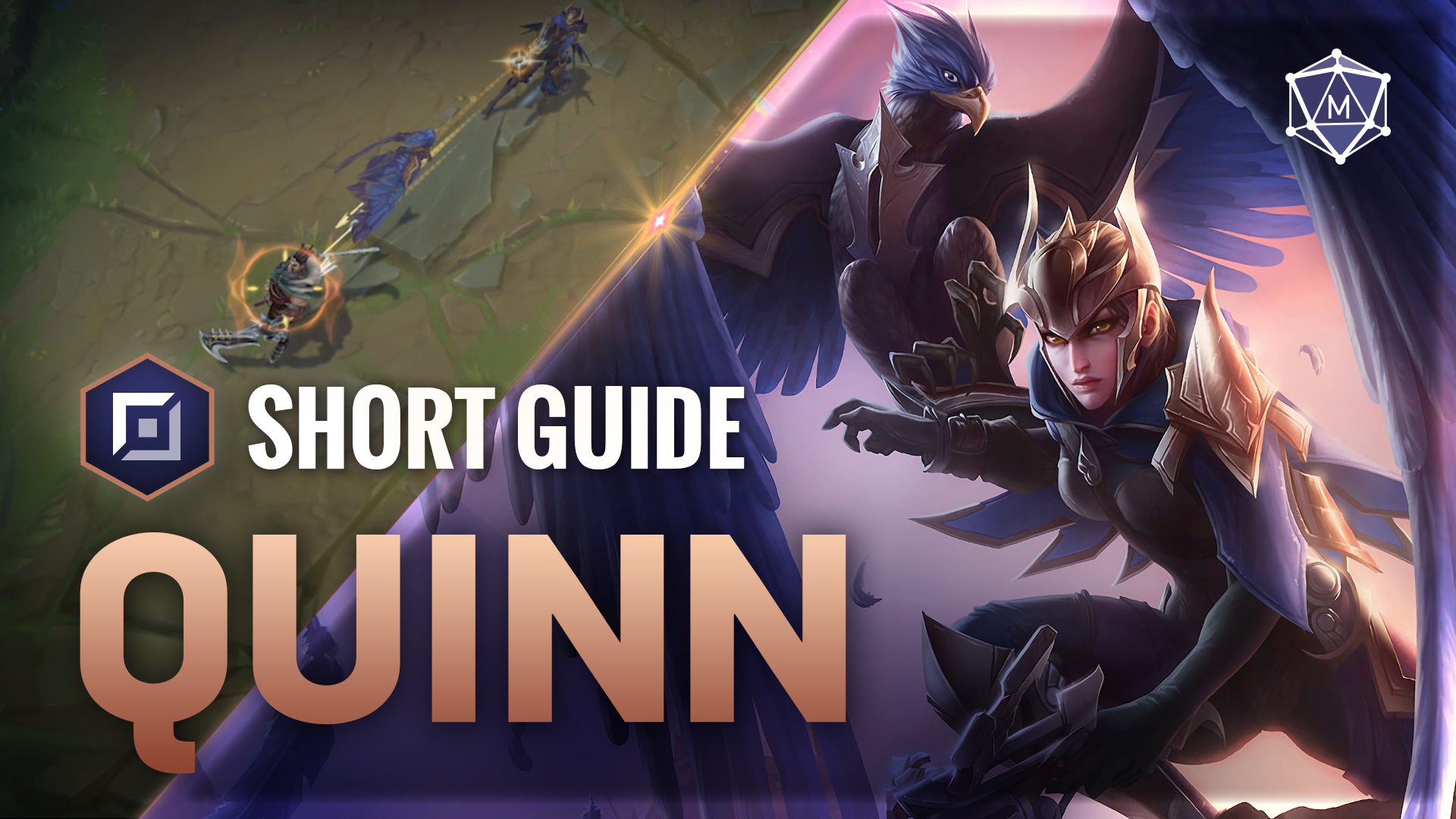 Quinn expert guide