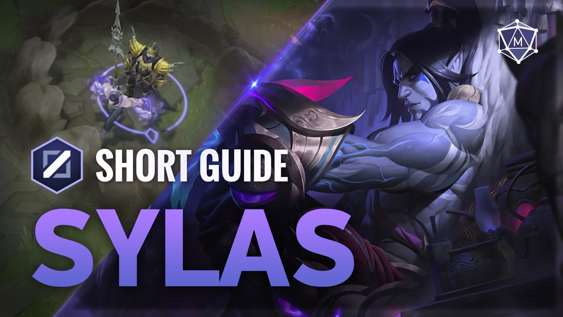 Sylas expert guide