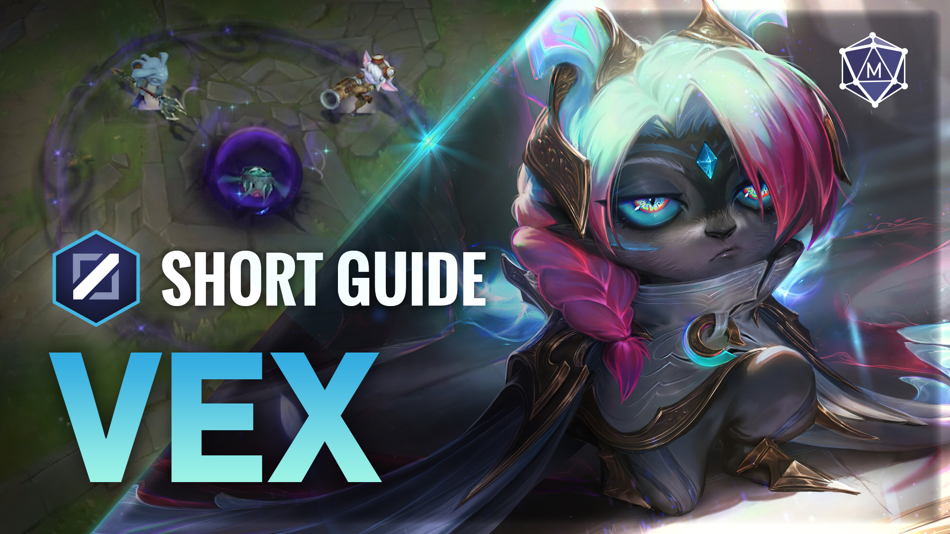 Vex expert guide