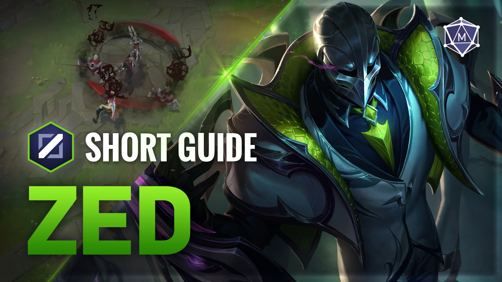 Zed Expert Video Guide