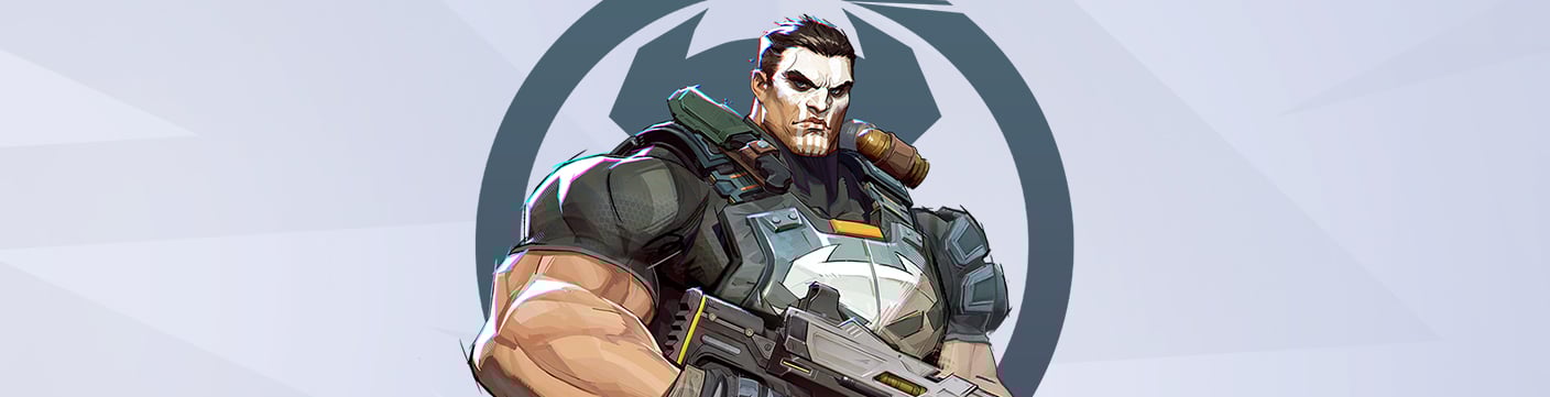 The Punisher header splash