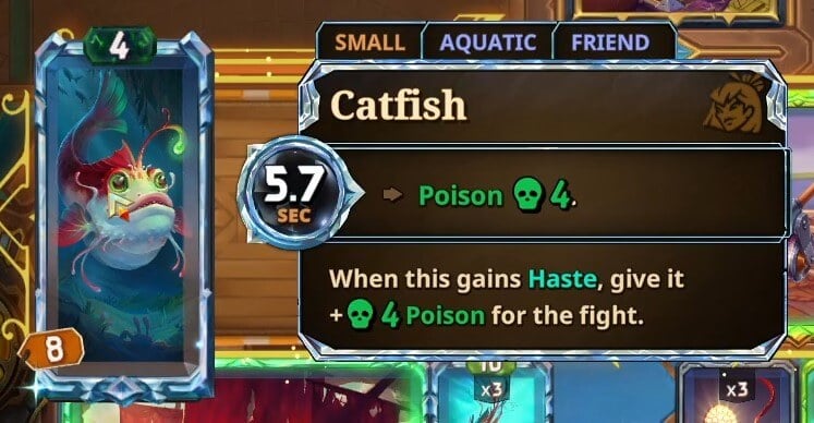 bazaar catfish