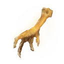 Gold-pickled Fowl Foot