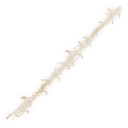 Cipher Pata