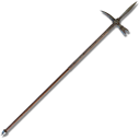 Lucerne