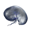 Silver Tear