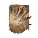 Bestial Sling