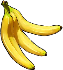 windrose banana