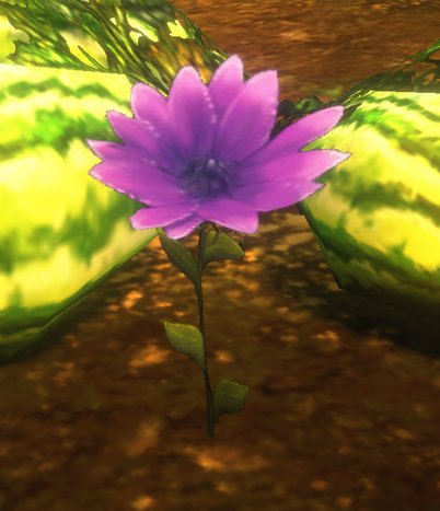 Duskweed Petal