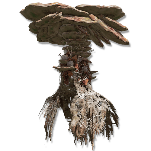Mushroom Crown — Best Overall Scarlet Rot Armor