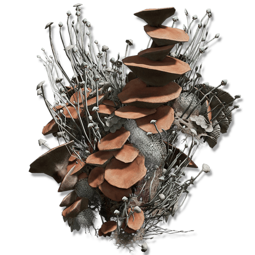 Mushroom Set — Best for Rot Resistance