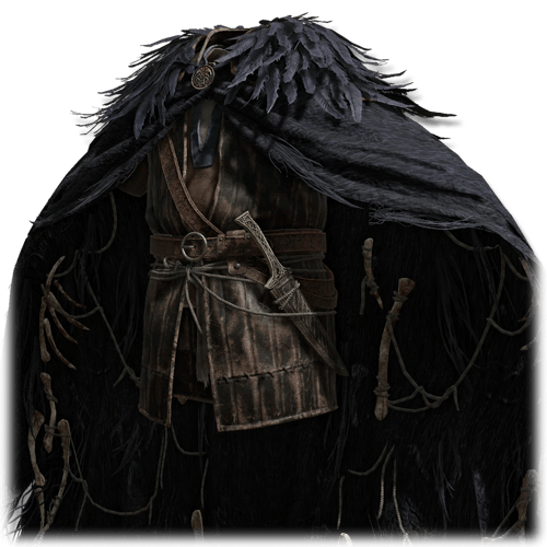 Raptor's Black Feathers