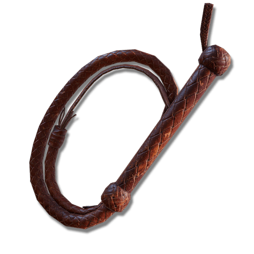 Whips