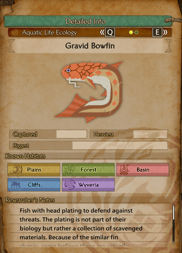gravid bowin