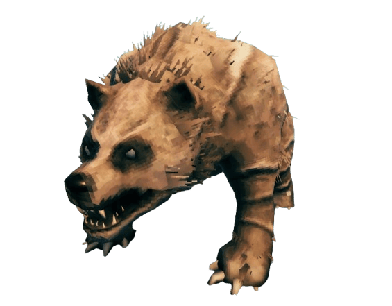 Bear