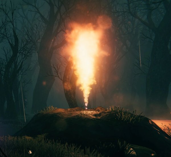 Geyser
