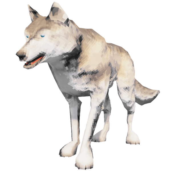 Wolf
