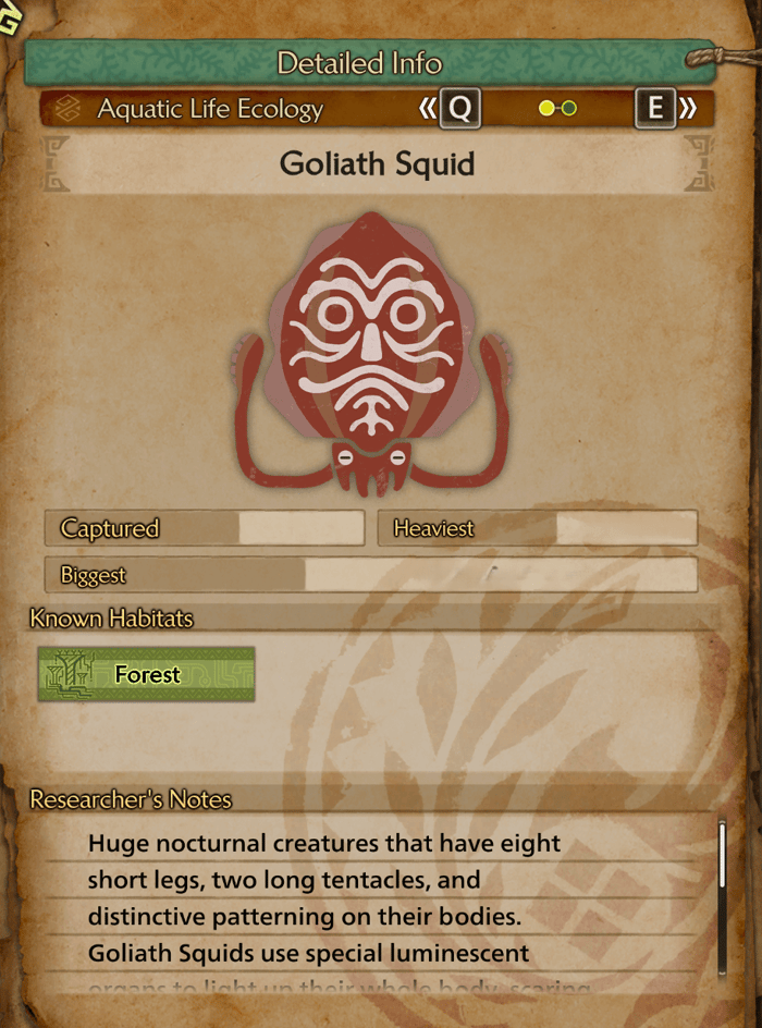 goliath squid