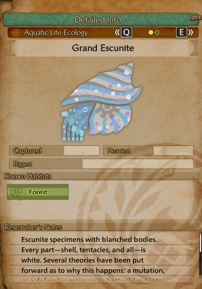 grand escunite