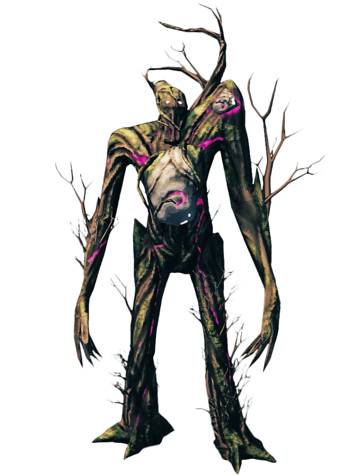 The Elder
