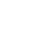Fire Scarabs