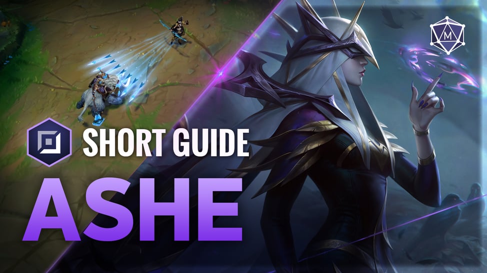 Ashe expert guide