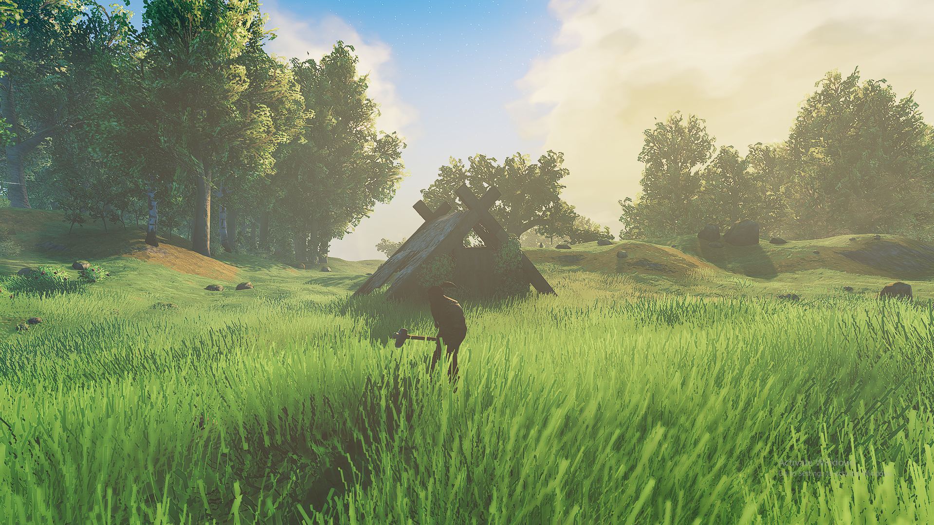 The Meadows