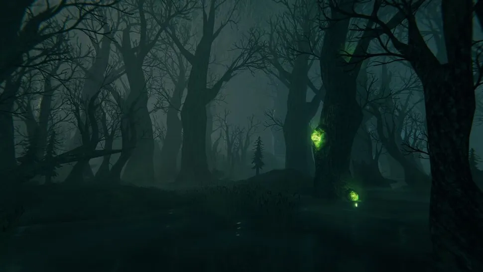 Swamp