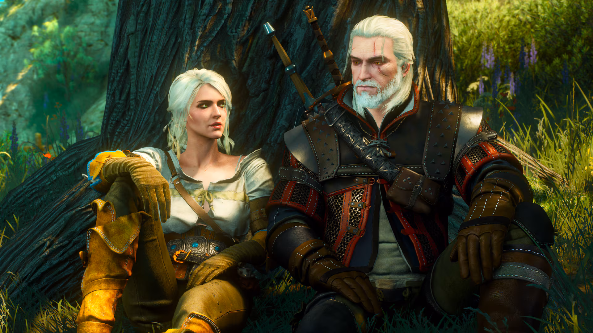 The Witcher