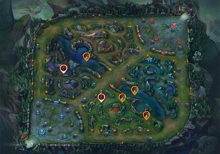 Own Jungle Warding