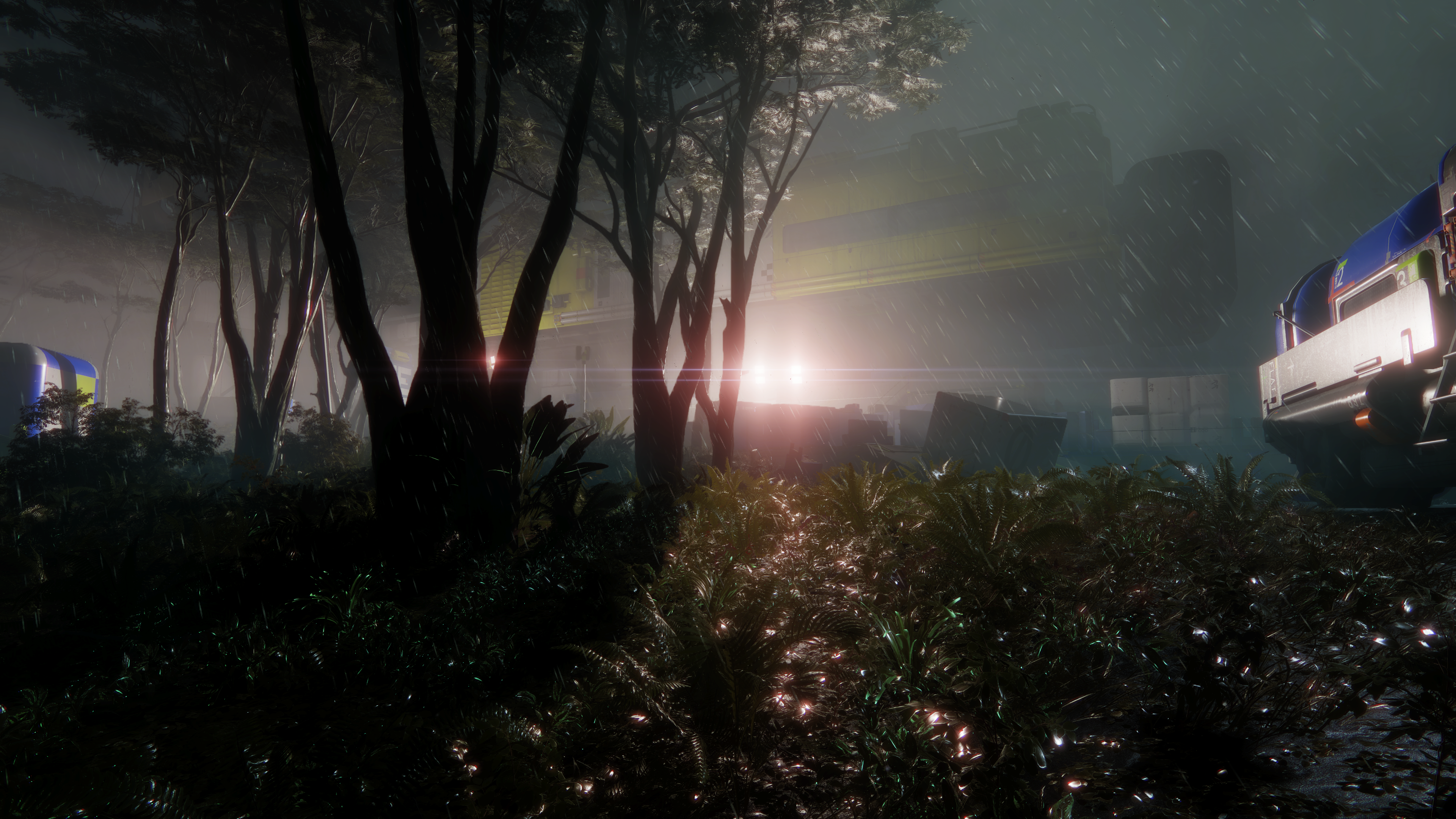 night marsh