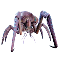 foureye