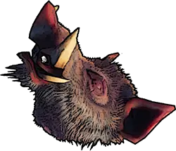 boar head windrose