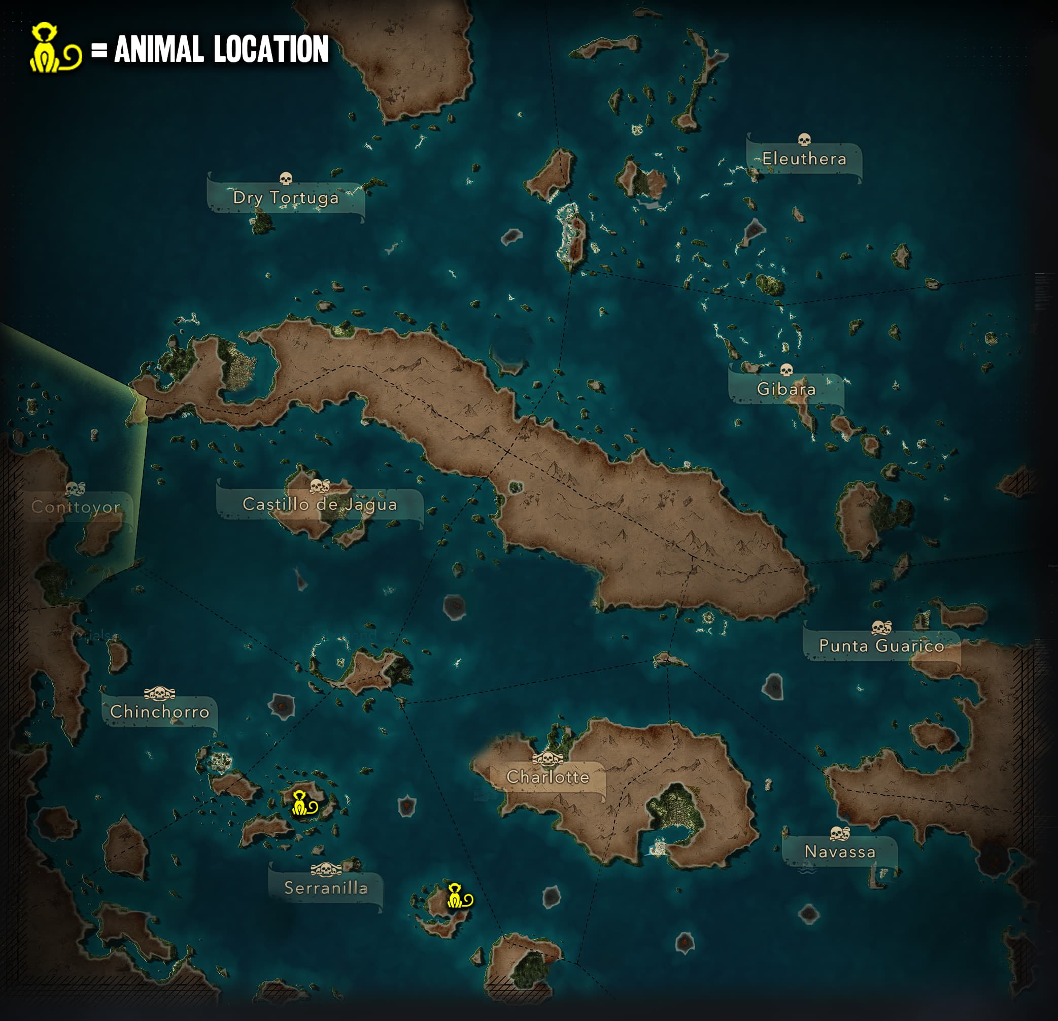 Capuchin Monkey