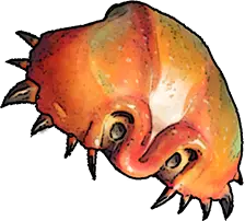 Crab Shell Windrose