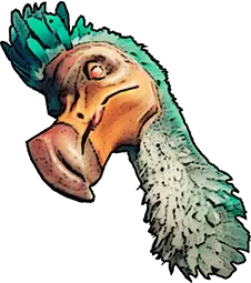dodo head windrose