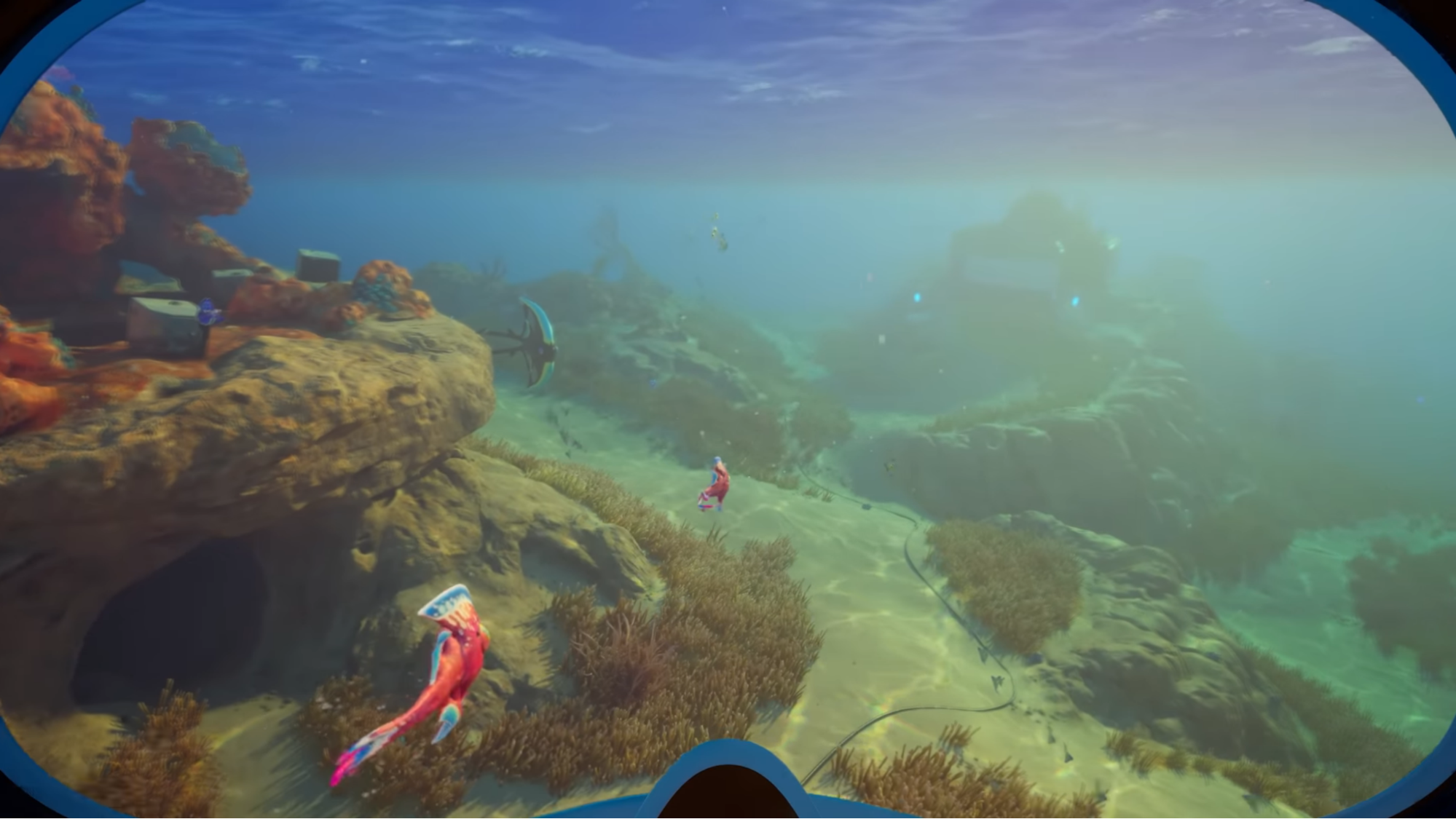 kelp forest