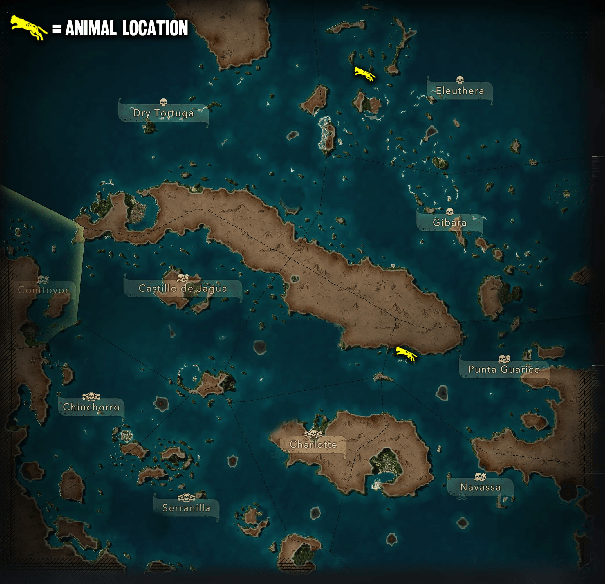 Ocelot New Locations