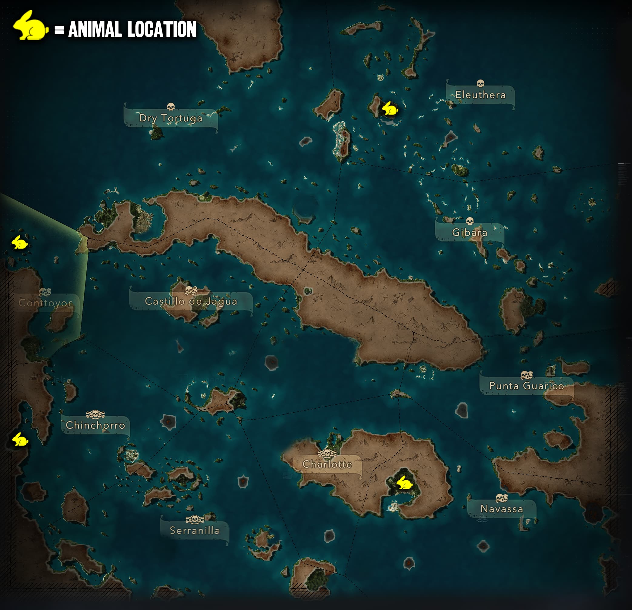 Rabbit Locations