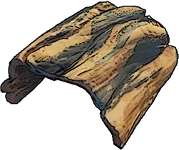 windrose tree bark